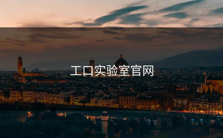 工口实验室官网